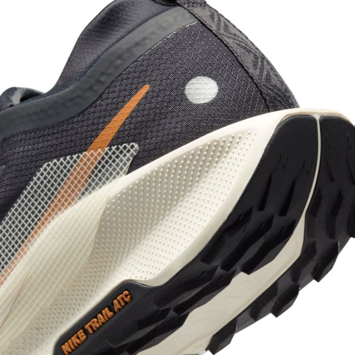 Nike Herre Trailsko Pegasus Trail 5 Gore-Tex Sort