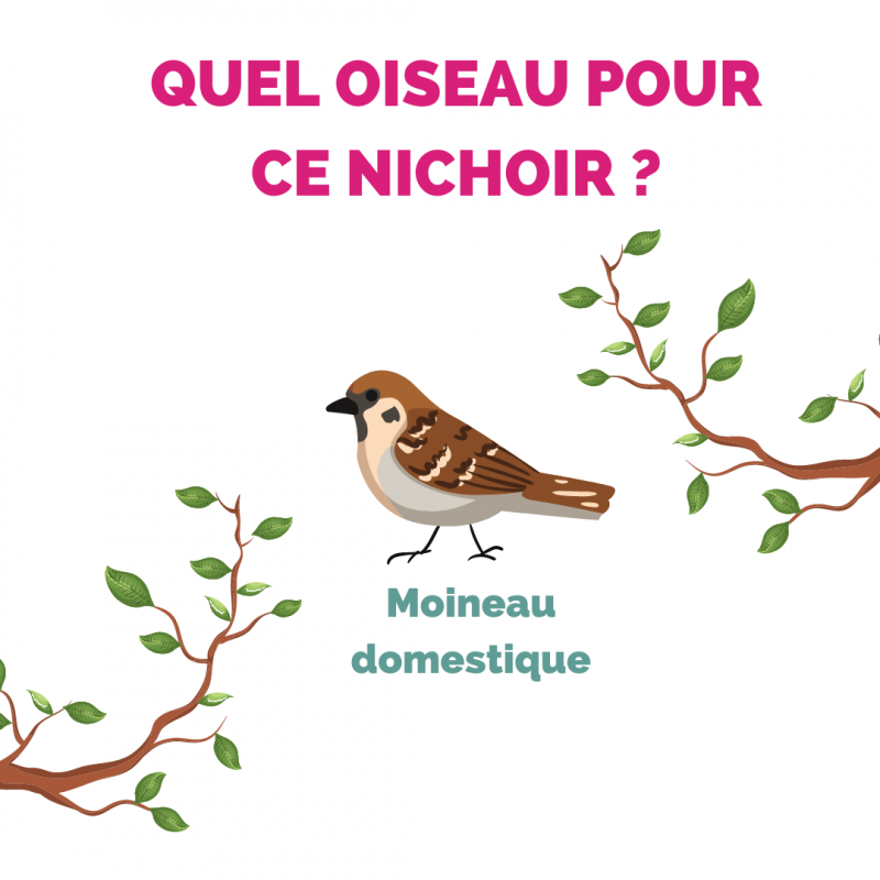 Nichoir maison en bois pour oiseaux