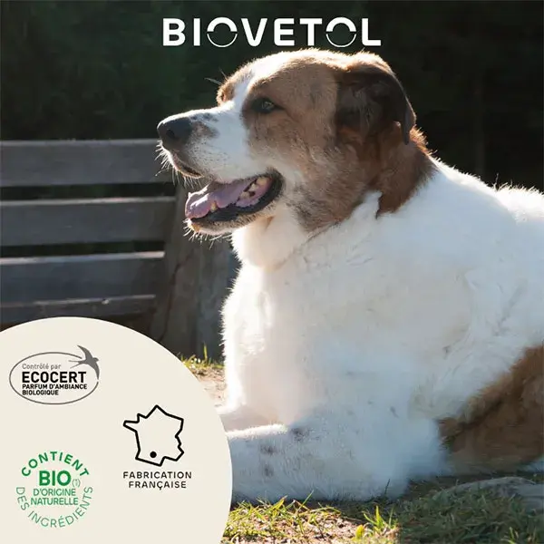 Biovetol - Loção Destruidora de Urina Orgânica para Cães - 500ml + 50% grátis