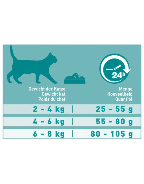 Purina One Senior - Kattenvoer