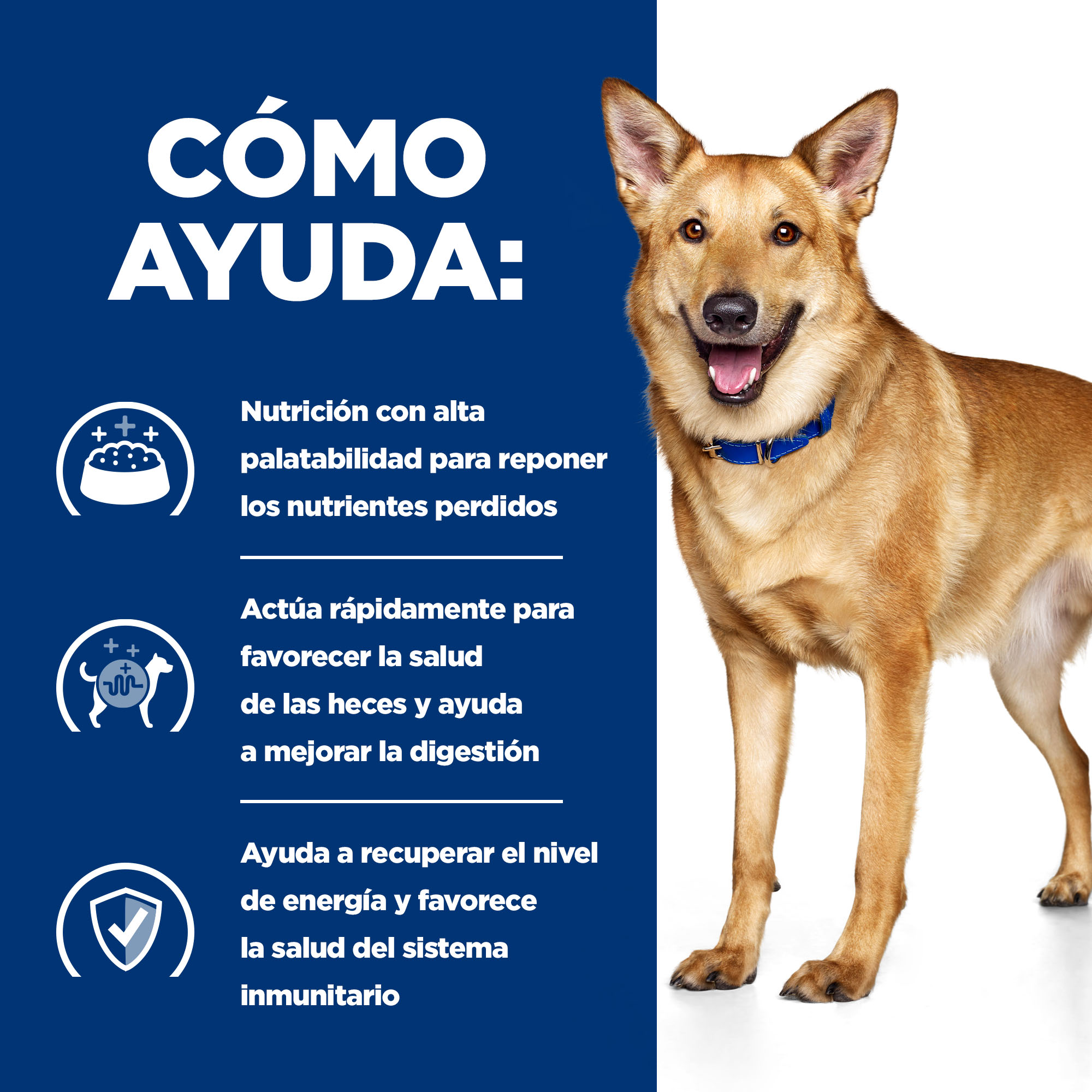 Hill's Prescription Diet Digestive Care i/d Perros - Peru enlatado