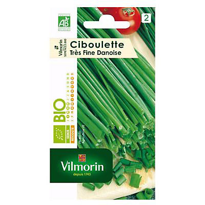 Graines de Ciboulette Civette Bio