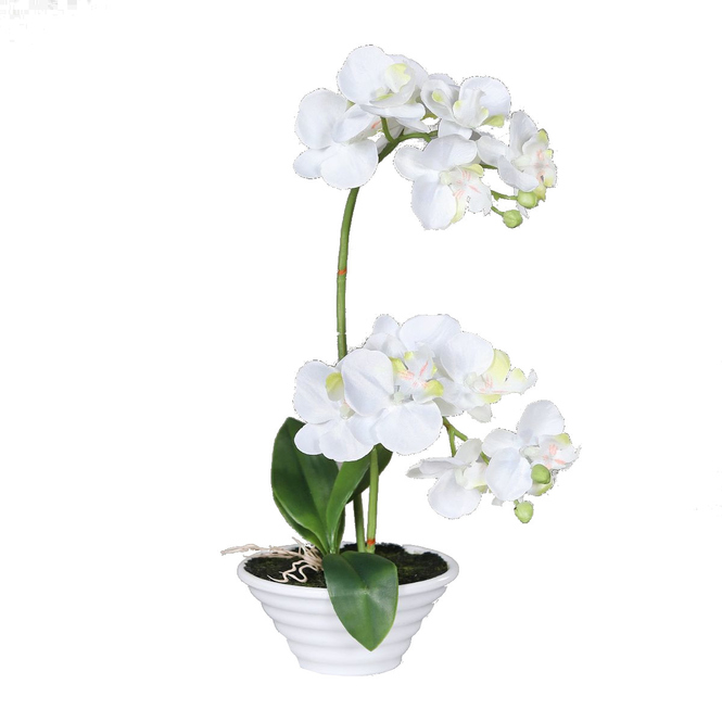 Orchidee - creme - ca. 35 cm