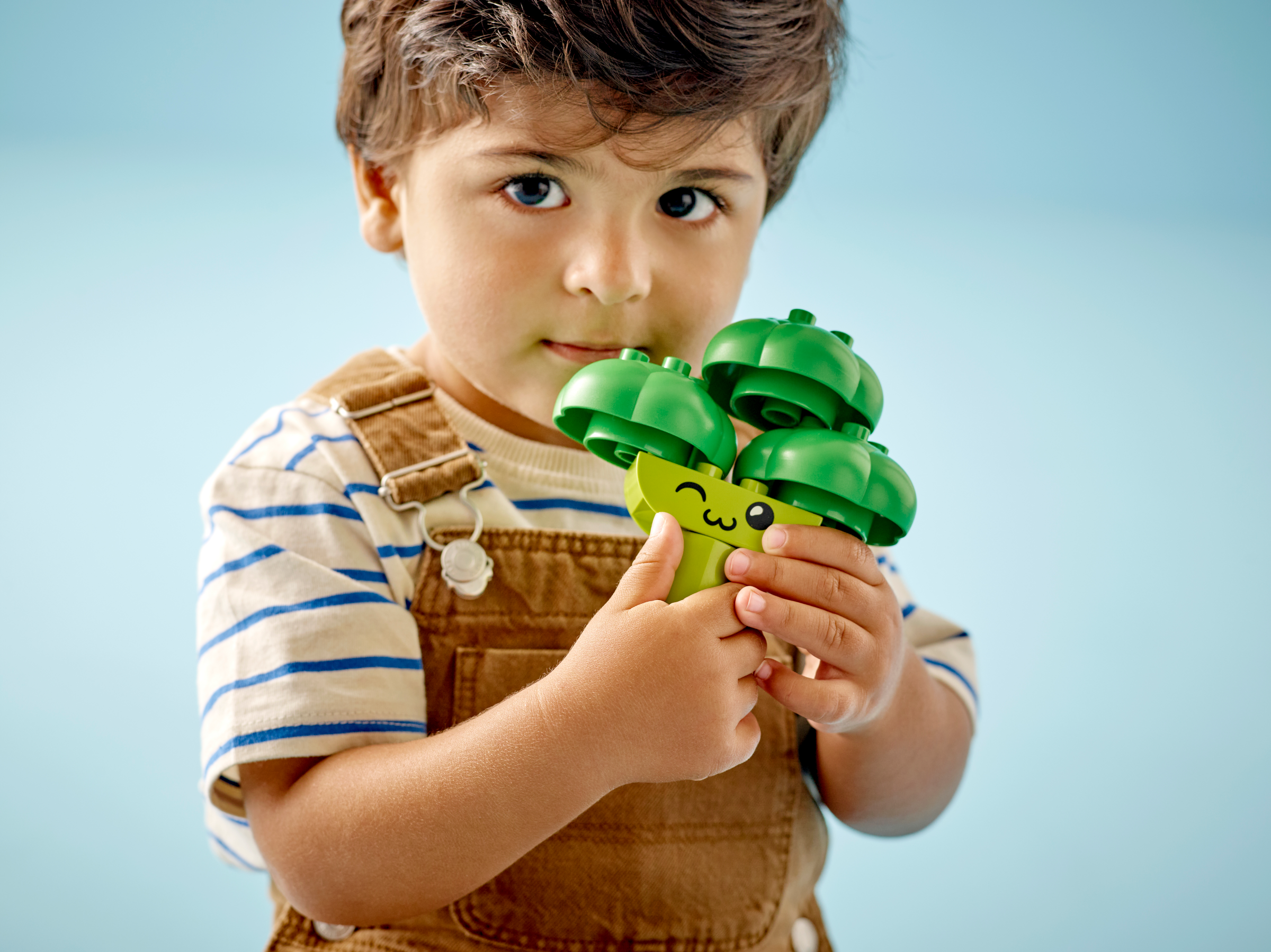 O trator para frutas e vegetais 10982