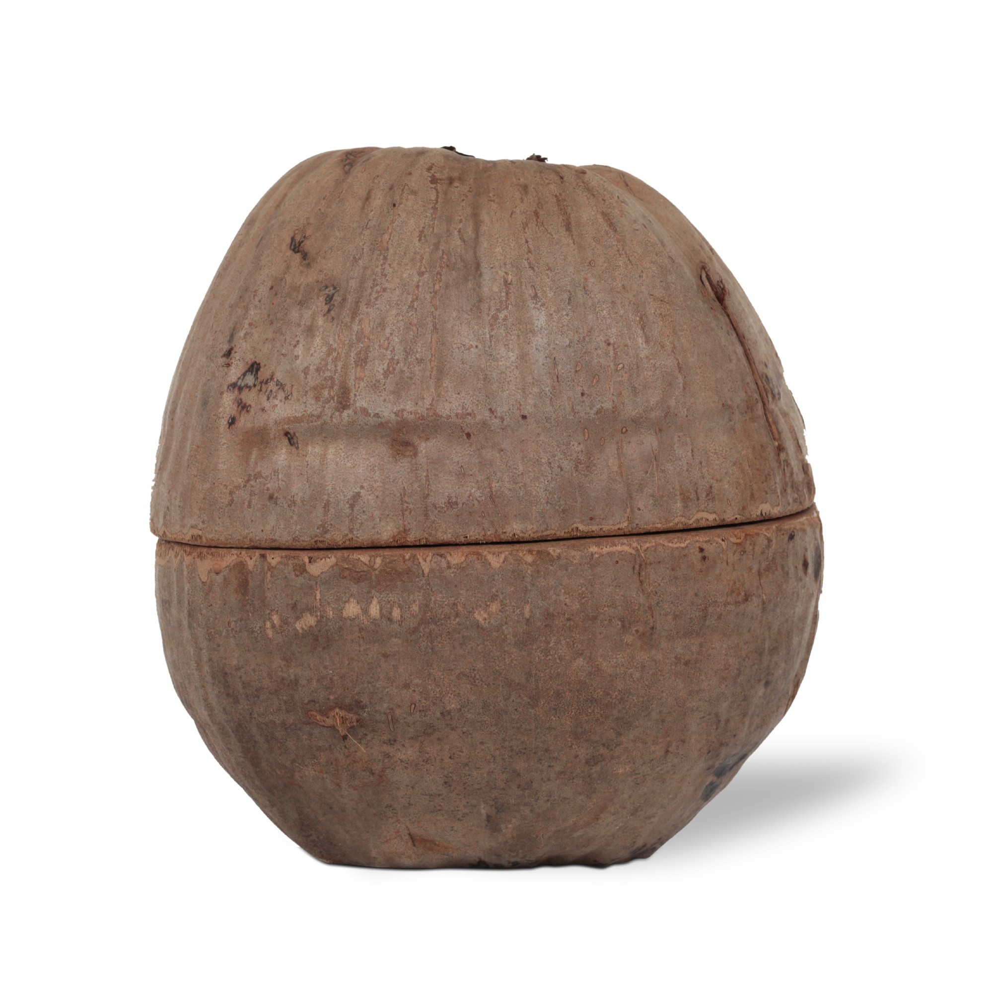 Kokosnuss-Box mit Deckel, natur, Ø 20 cm, H 25 cm von fischer's lagerhaus