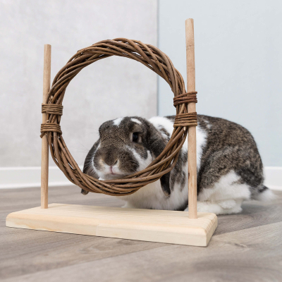 Trixie Agility-Set für Kleintiere mit Hürde & Ring