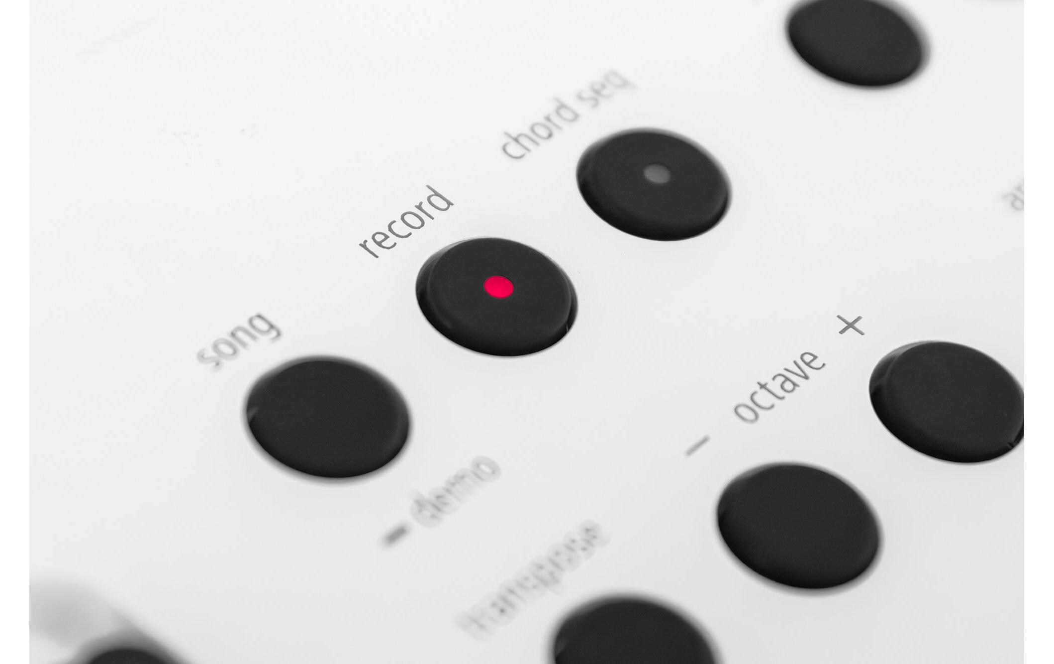 Keyboard GO:KEYS 5 Weiss<br>Keyboard mit 61 anschlagsdynamischen Tasten und Zen-Core Engine