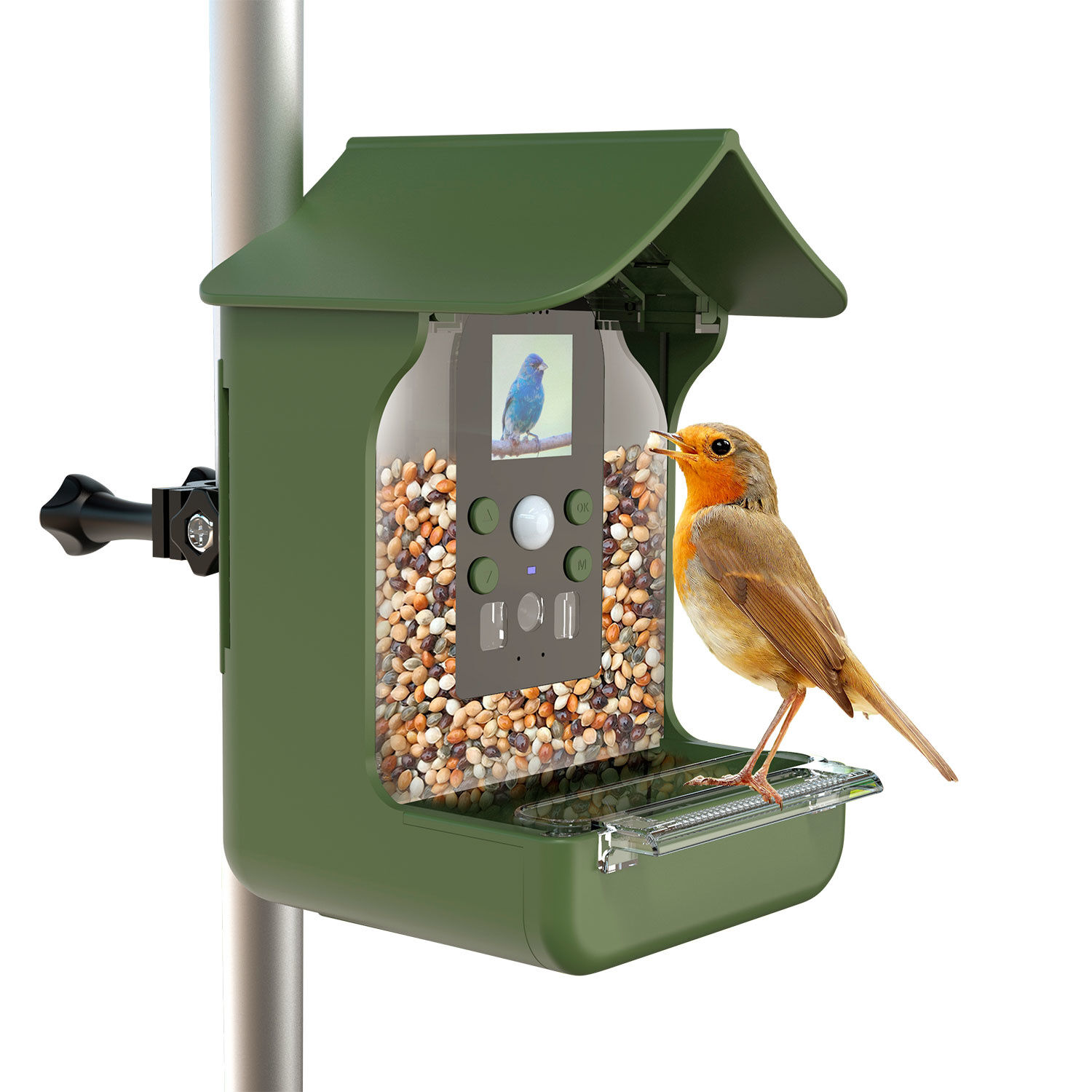 Vogelfutterhaus mit eingebauter Kamera