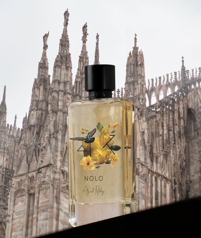 Nolo ALFRED RITCHY 100 ML