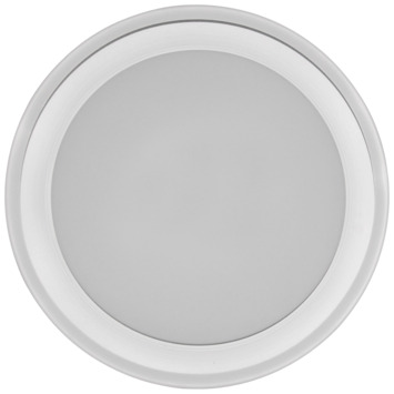 GAMMA plafondlamp Charles Led 12W warm wit