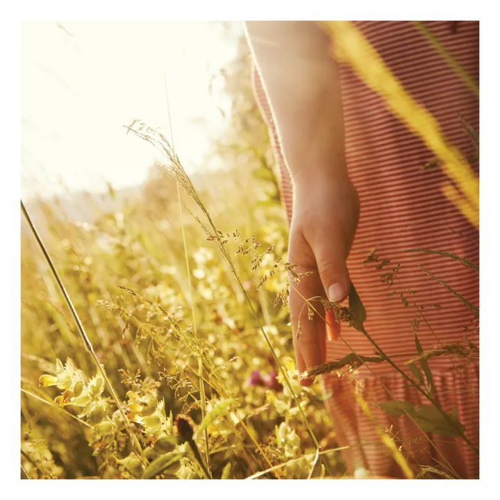 Minimalisma Robe Rayée en Soie Hope | Rose