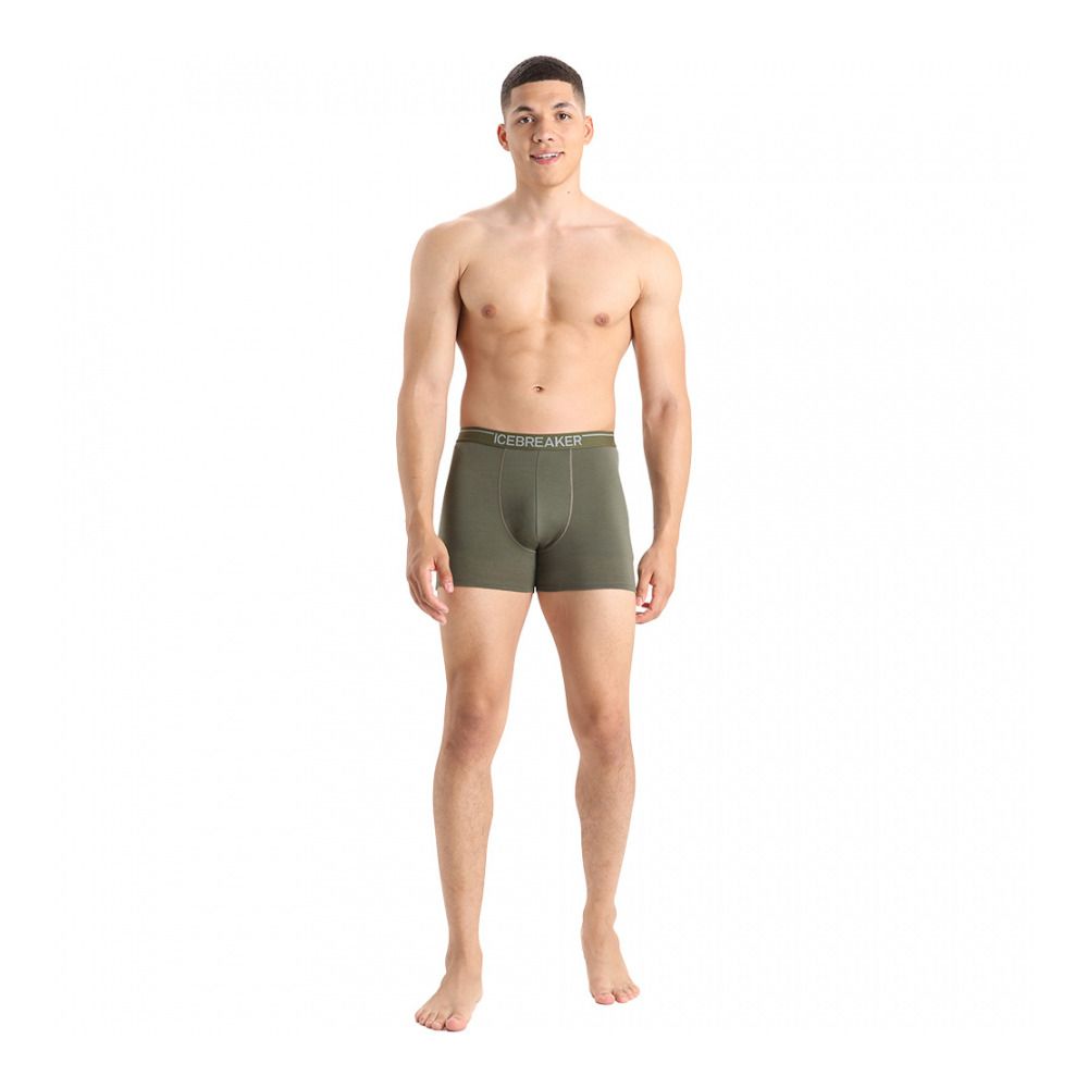Icebreaker ANATOMICA - Boxer Homme loden