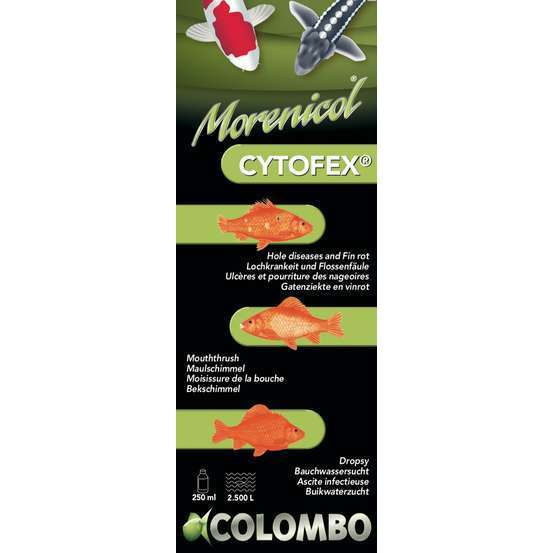 Traitement contre les infections bactériennes Cytofex 500ml / 5.000 L