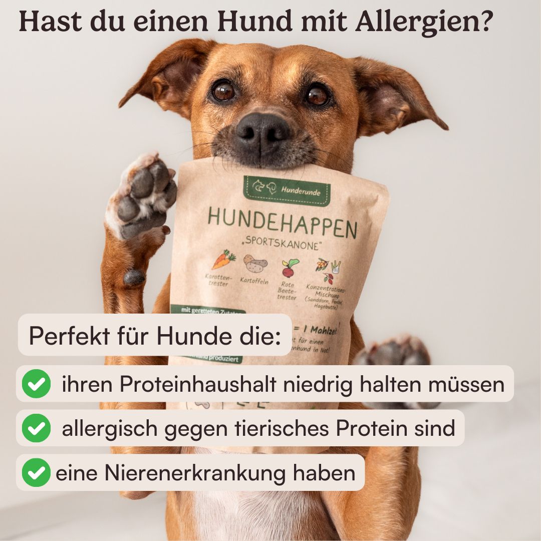 Hunderunde Hundehappen Morgenmuffel