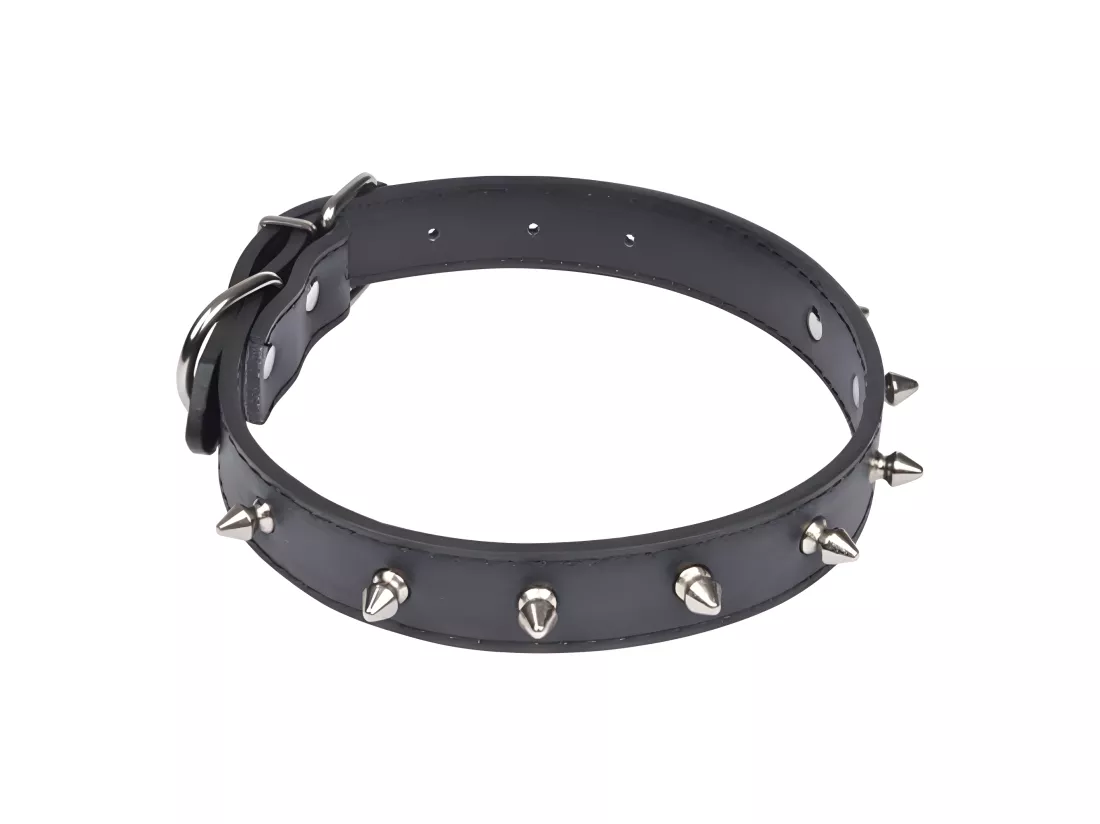 Collier Fantaisie pour Chien 