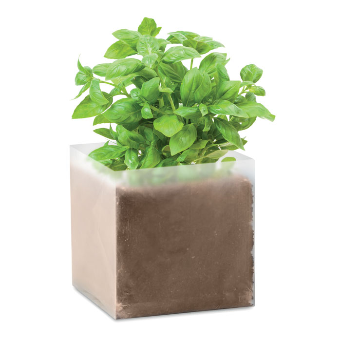 GiftRetail MO9545 - BASIL Substrat avec graines Basilic