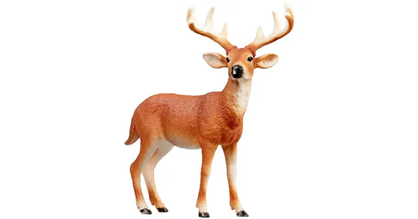 Schleich Wild Life 14818 Weisswedelhirsch