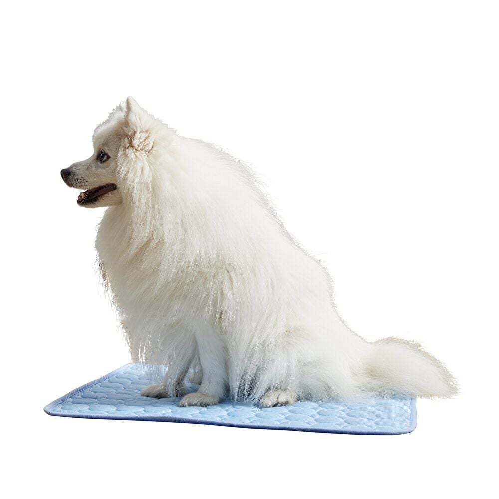 Tapis rafraîchissant pour chien 45x60cm