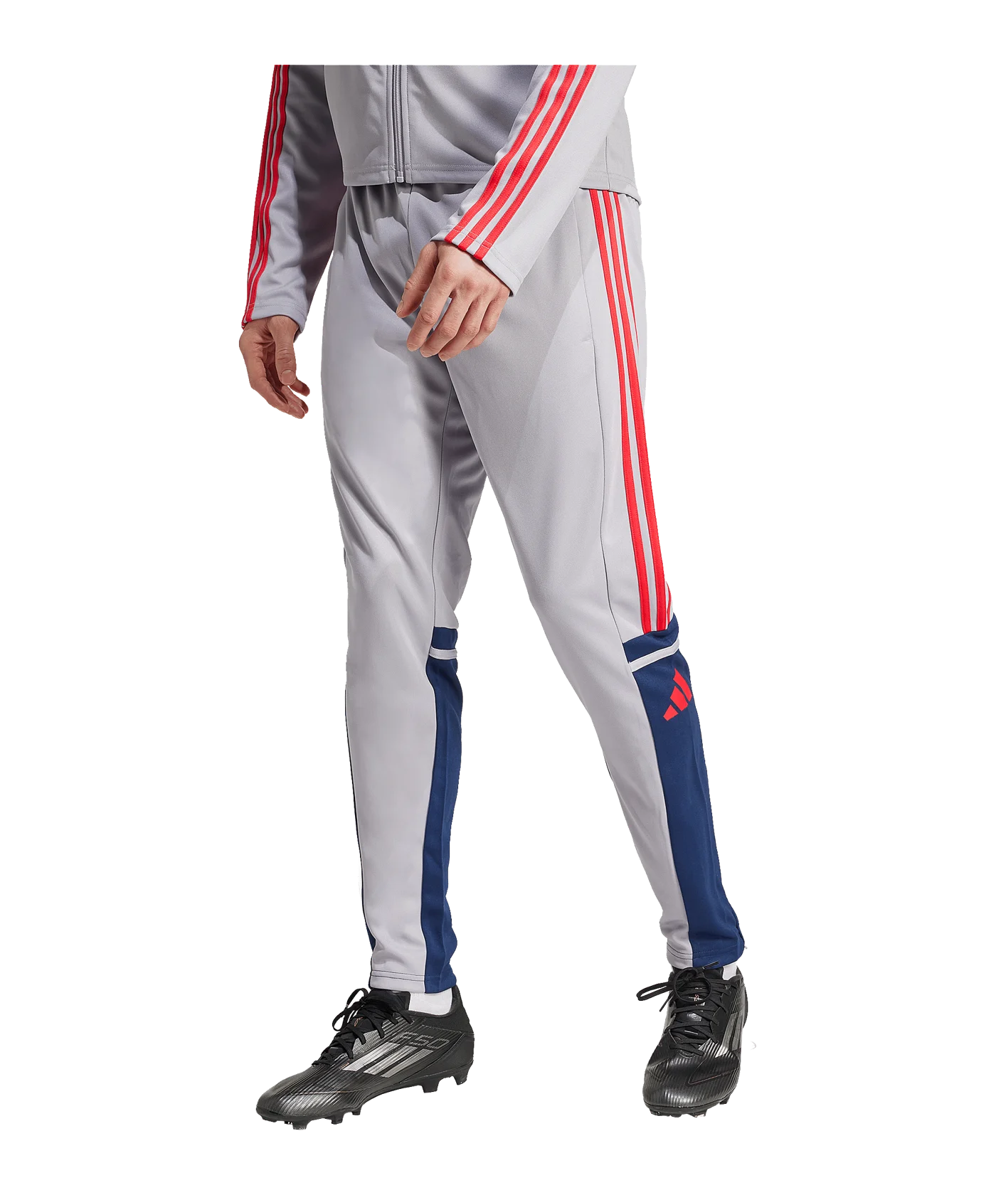 adidas Squadra 25 Trainingshose Grau