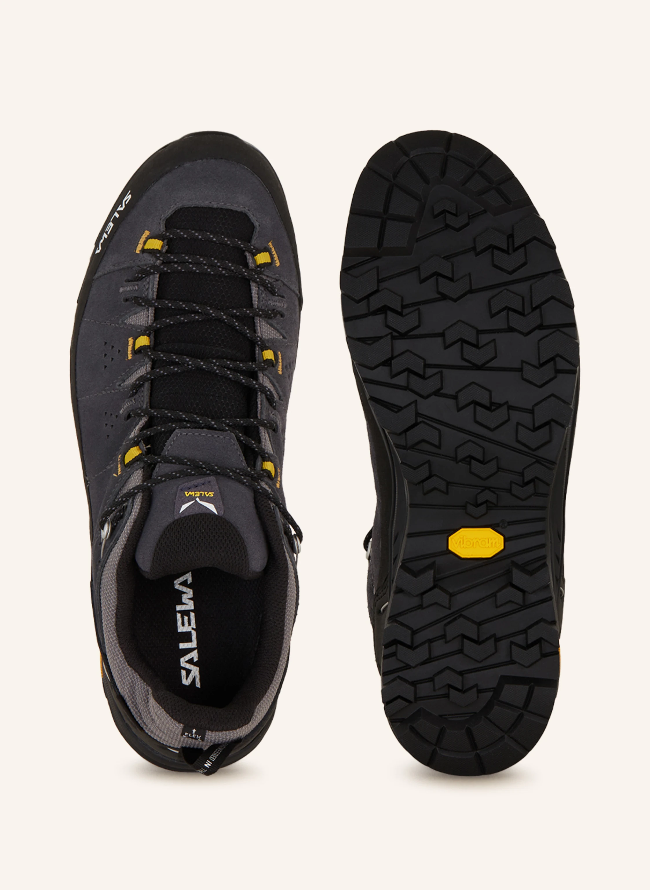 SALEWA Wanderschuhe ALP TRAINER 2 GTX
