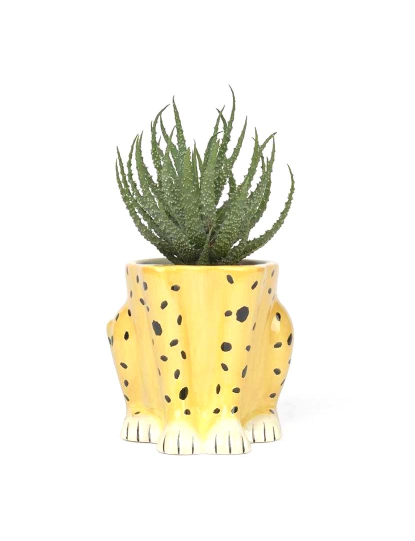 Urban Jungle Cheetah Pot