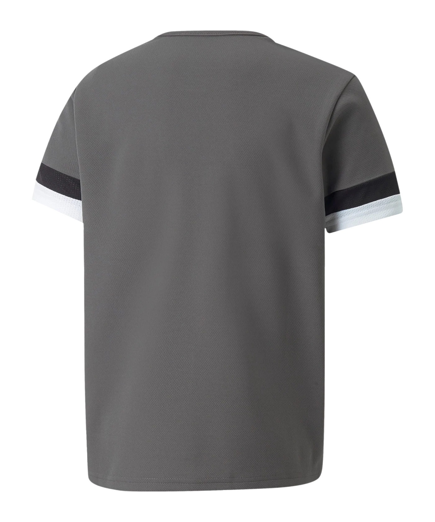 PUMA teamRISE Trikot Kids Grau F13