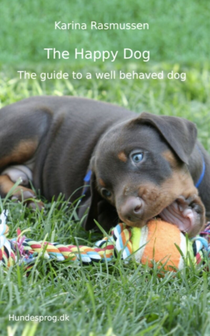 The Happy Dog - Karina Berit Rasmussen - English Book