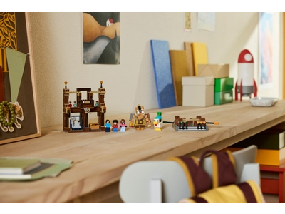 LEGO De arena bij het boslandhuis (21272)