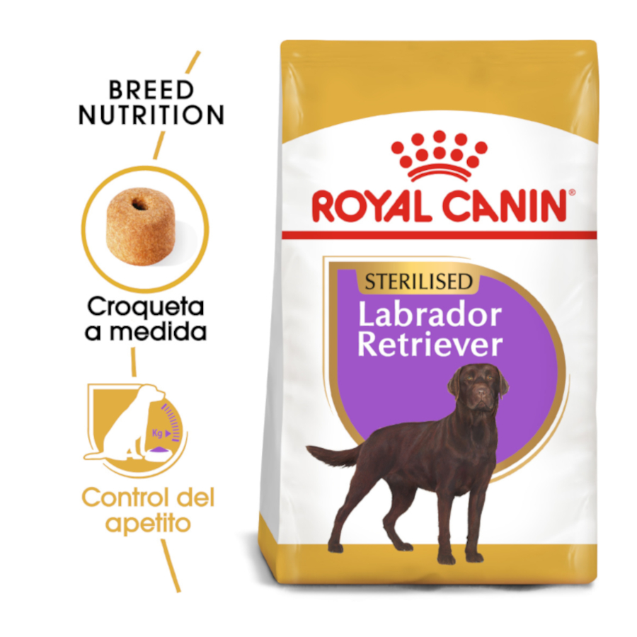 Ração esterilizada Royal Canin para cães adultos da raça Labrador.