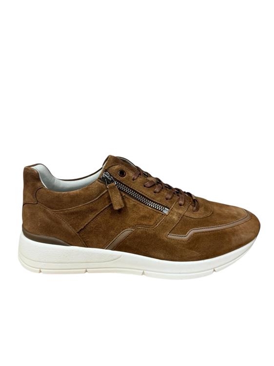 Greve 3284.12 Walker Sella Suede