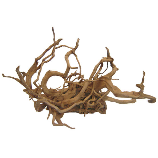 Décor aquarium/terrarium: Racine araignée 50-100cm