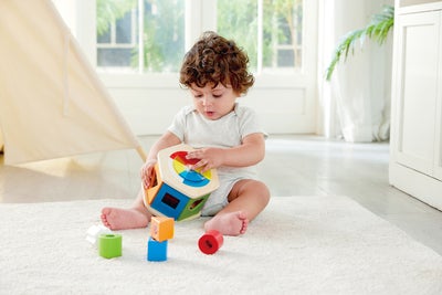 Hape Sorteringsboks Farge & Form