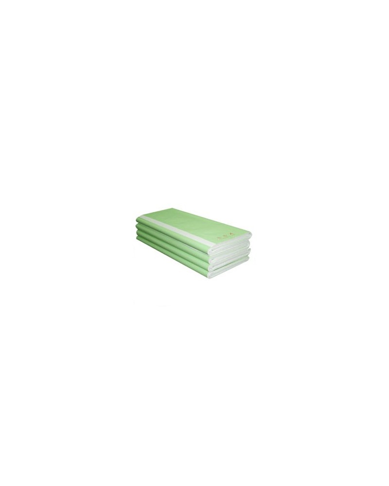 100 feuilles papier etude