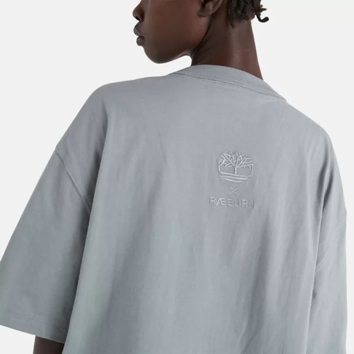Camiseta Timberland x Raeburn na cor cinza