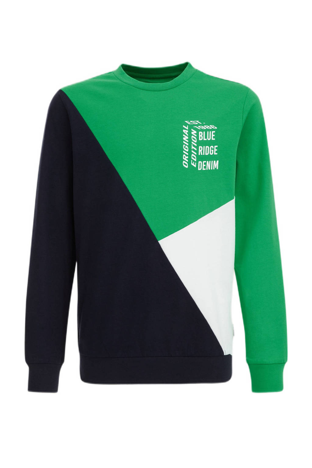 WE Fashion longsleeve groen/wit/blauw