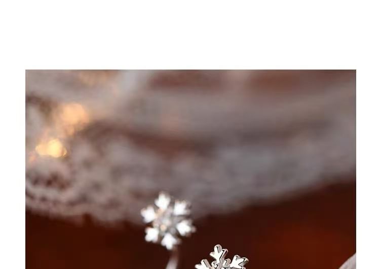 pexrl sieraden - Sterling zilveren sneeuwvlok oorbel met strass