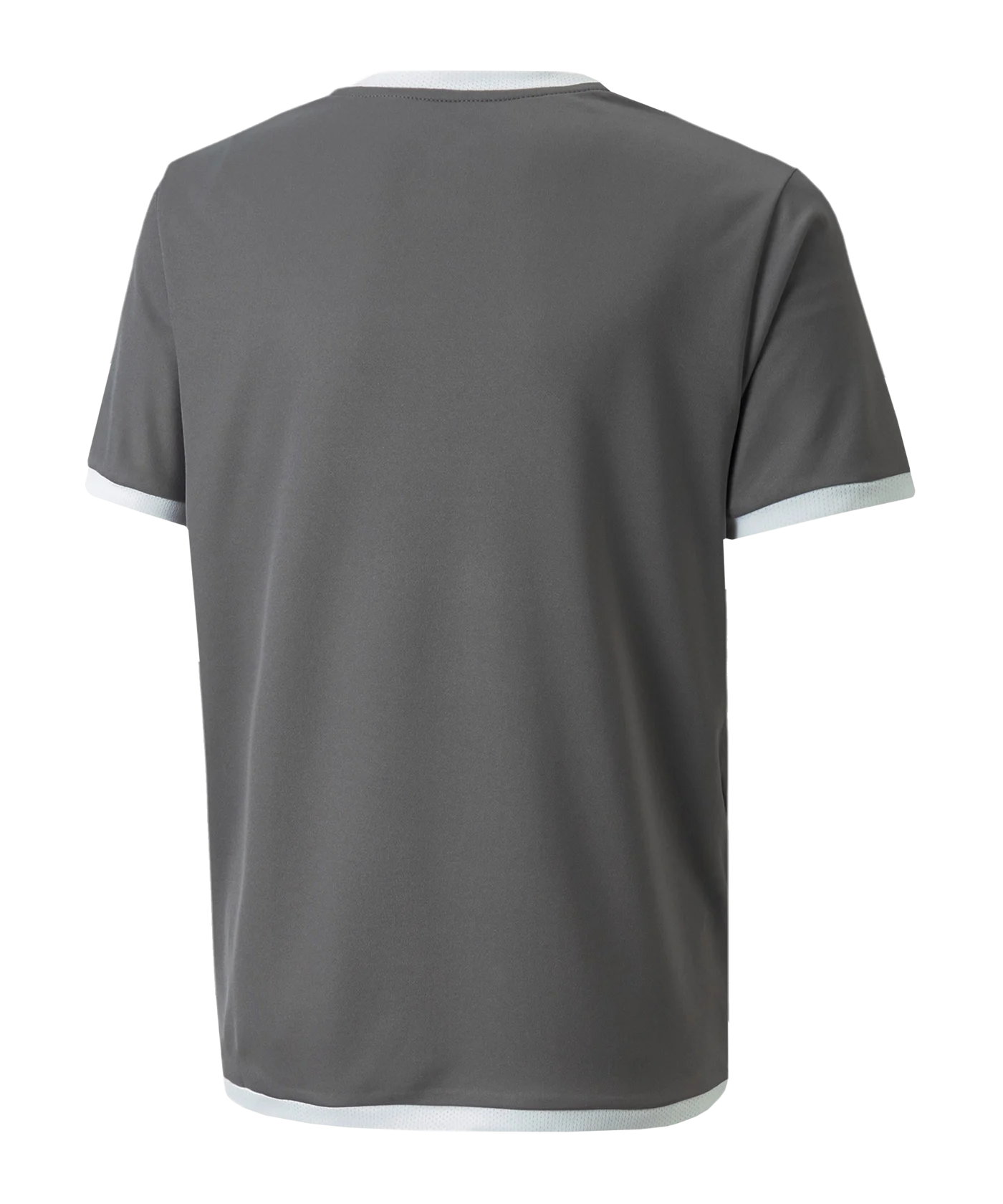 PUMA teamLIGA Trikot Kids Grau F13