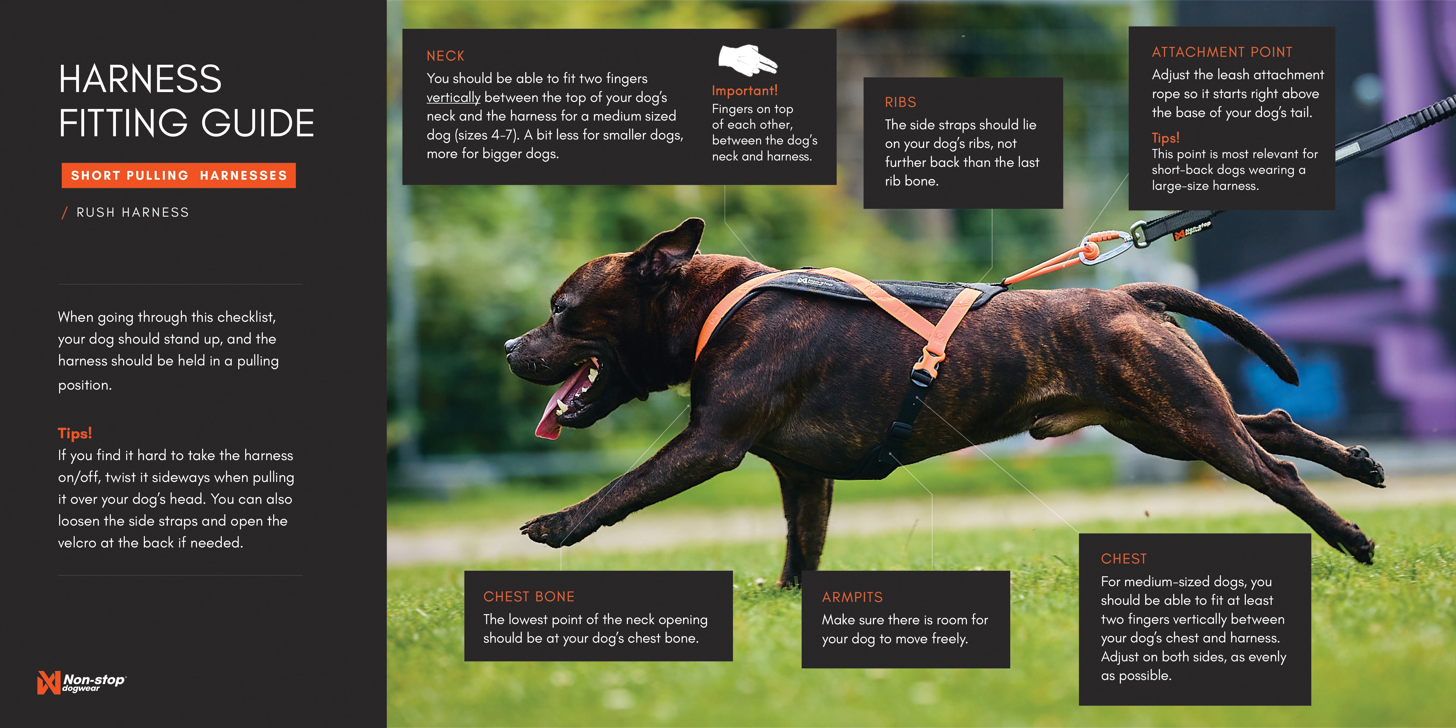 Kjøp Non-Stop Dogwear Rush Harness fra Hekta på tur!