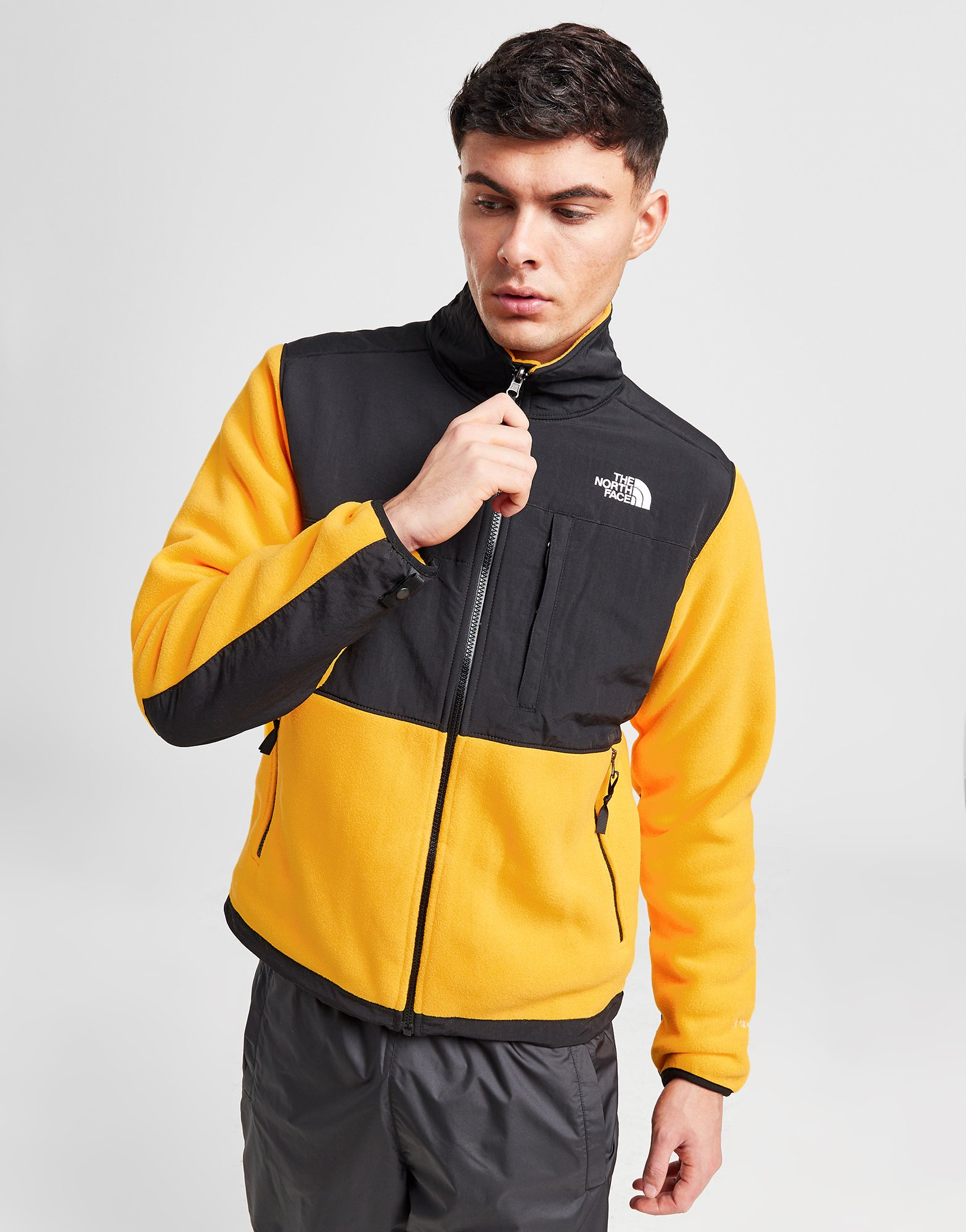 The North Face Veste Zippée Denali Homme