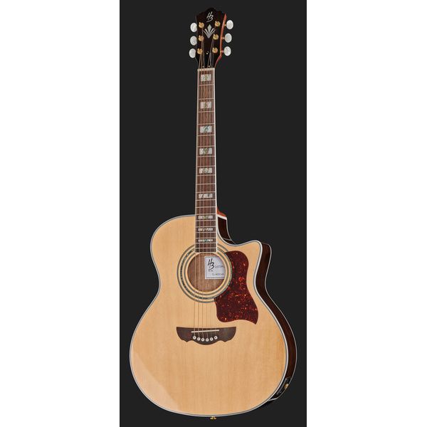 Brümmer Akustikgitarren Set 3