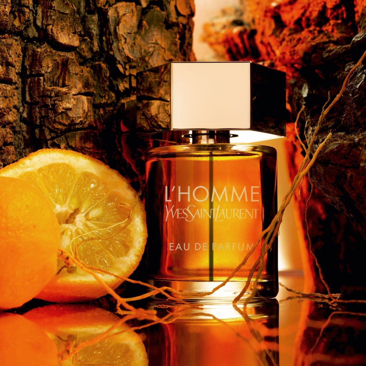 YVES SAINT LAURENT L'Homme Eau de Parfum