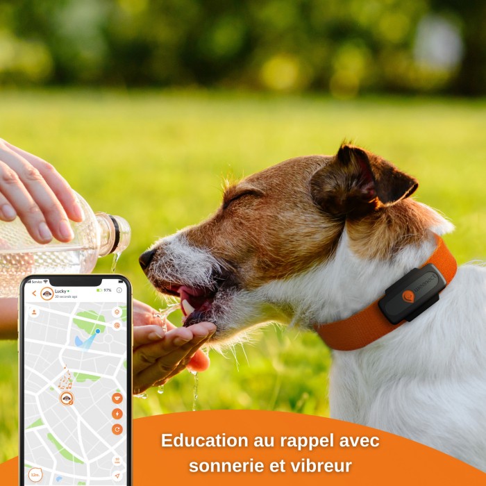 Collier GPS Weenect XS Dogs - Noir