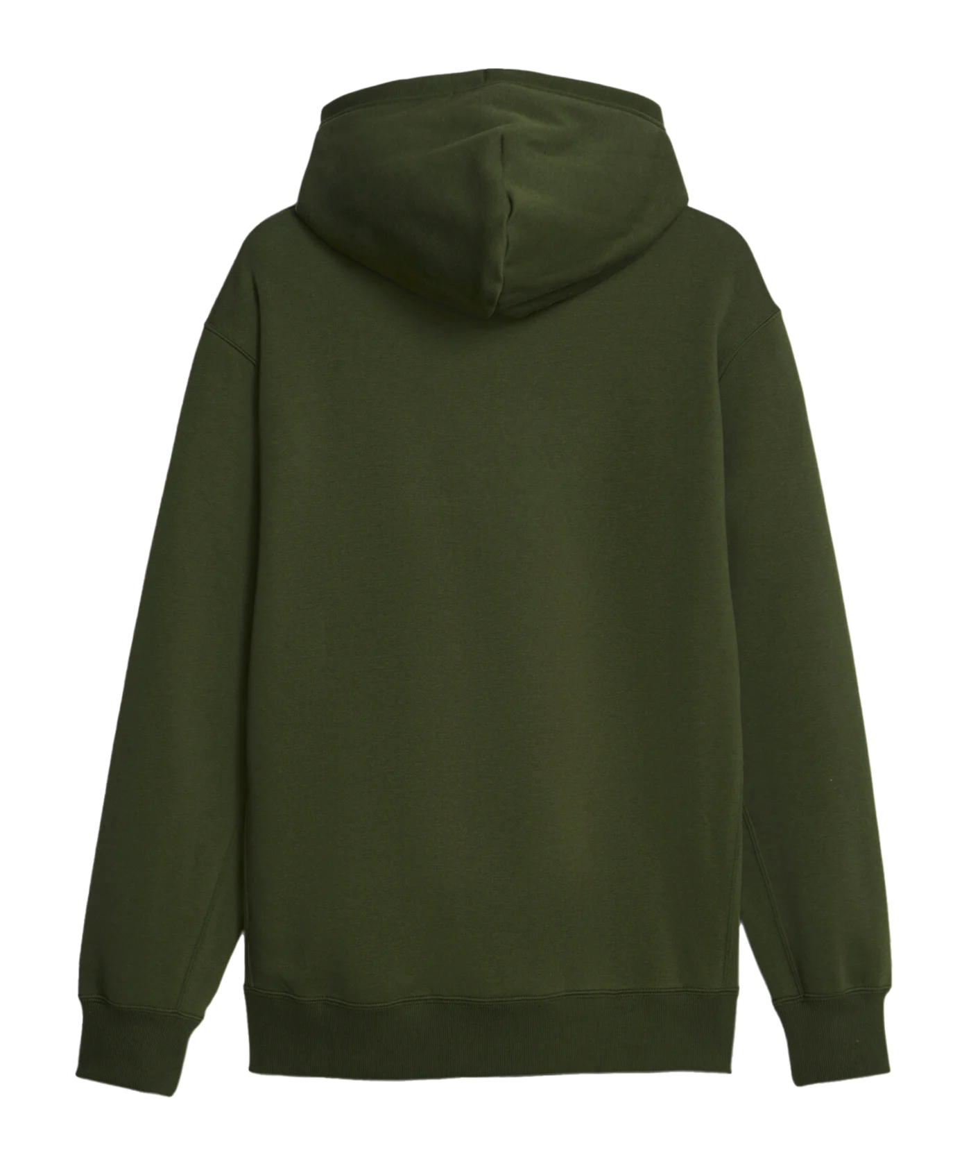 PUMA Classics Small Logo Hoody Grün F31