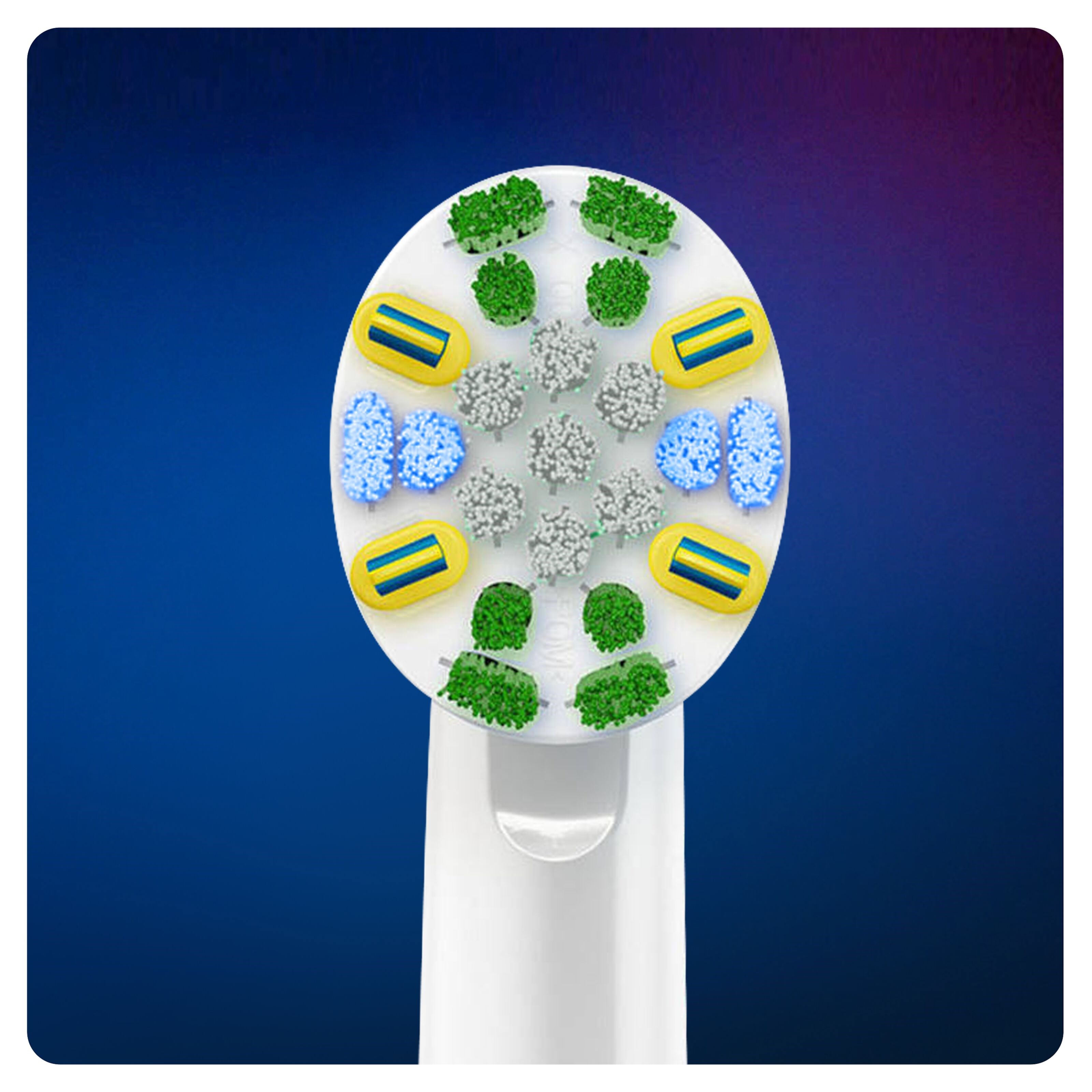 Oral-B FlossAction 3-pk.