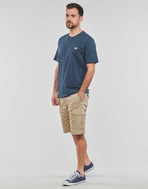 Dickies - SS MAPLETON T-SHIRT - Marine
