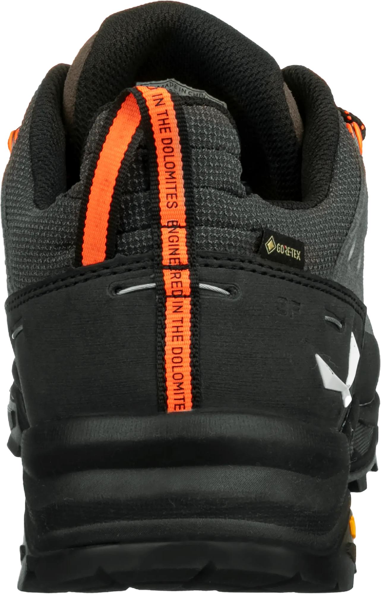 Salewa Alp Trainer 2 GTX M