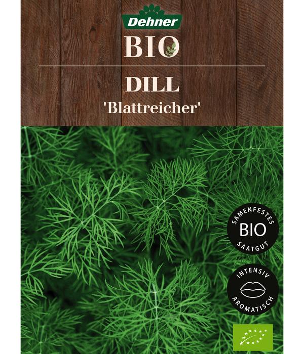 Dehner Bio-Saatgut Dill 'Blattreicher'
