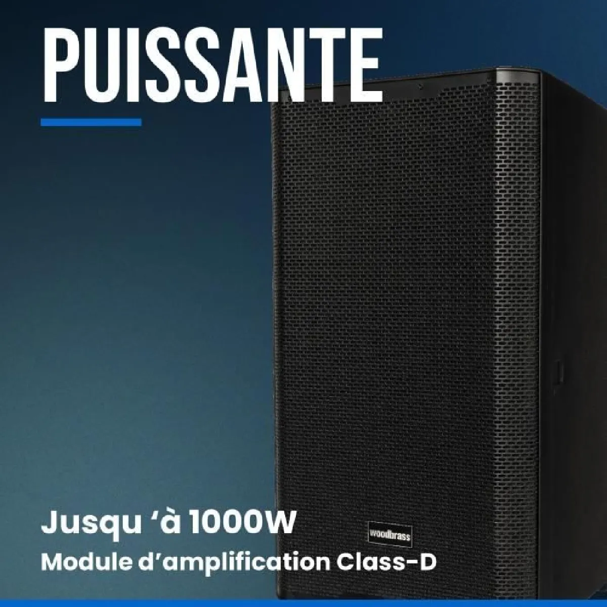 WOODBRASS DXPRO 12 Enceinte Active