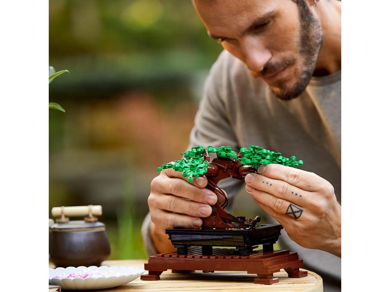 LEGO® Icons Botanicals Bonsai Baum 10281 Lassen Sie Ihre Kreativität aufblühen