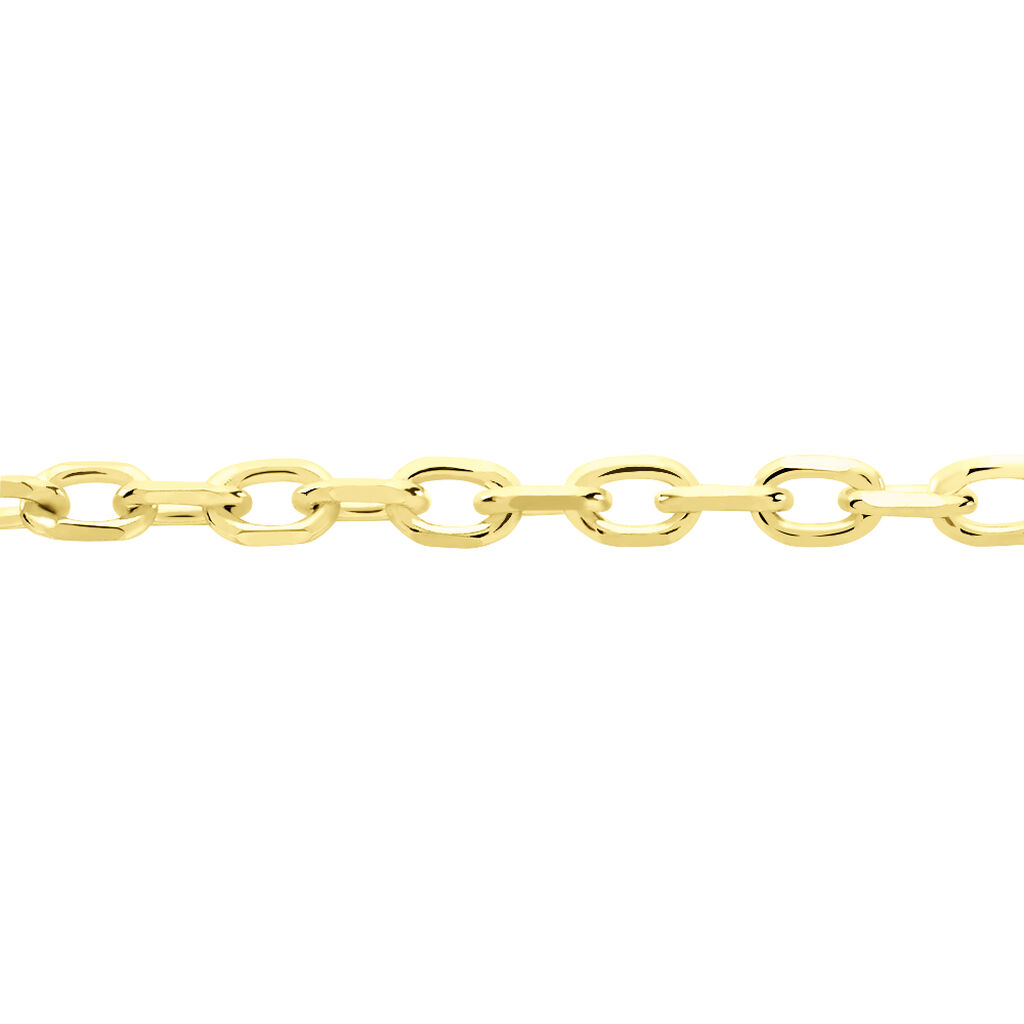 Chaîne Igoa Maille Forçat Diamantee Or Jaune